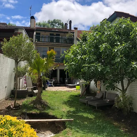 Maison Maje